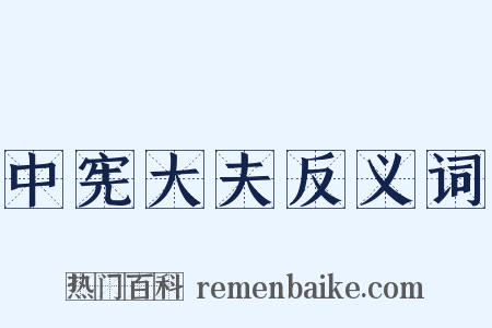 中宪大夫反义词是什么意思的图片